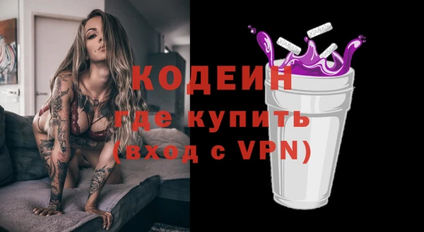 шишки Вяземский